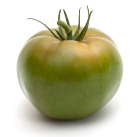 POMODORO INSALATARO TONDOFRESCO